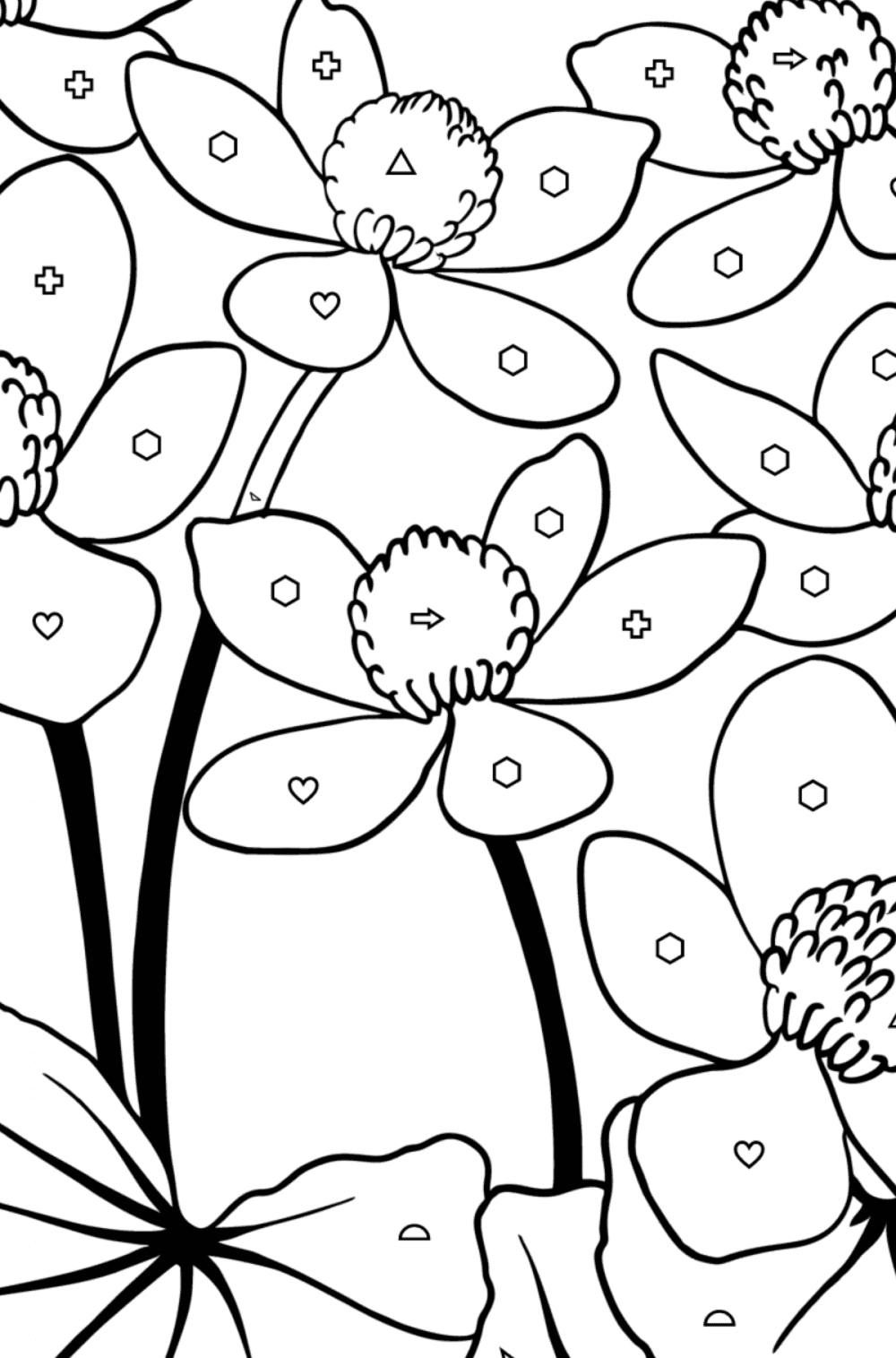 Buttercup flowers Flowers Coloring Pages for Adults Online