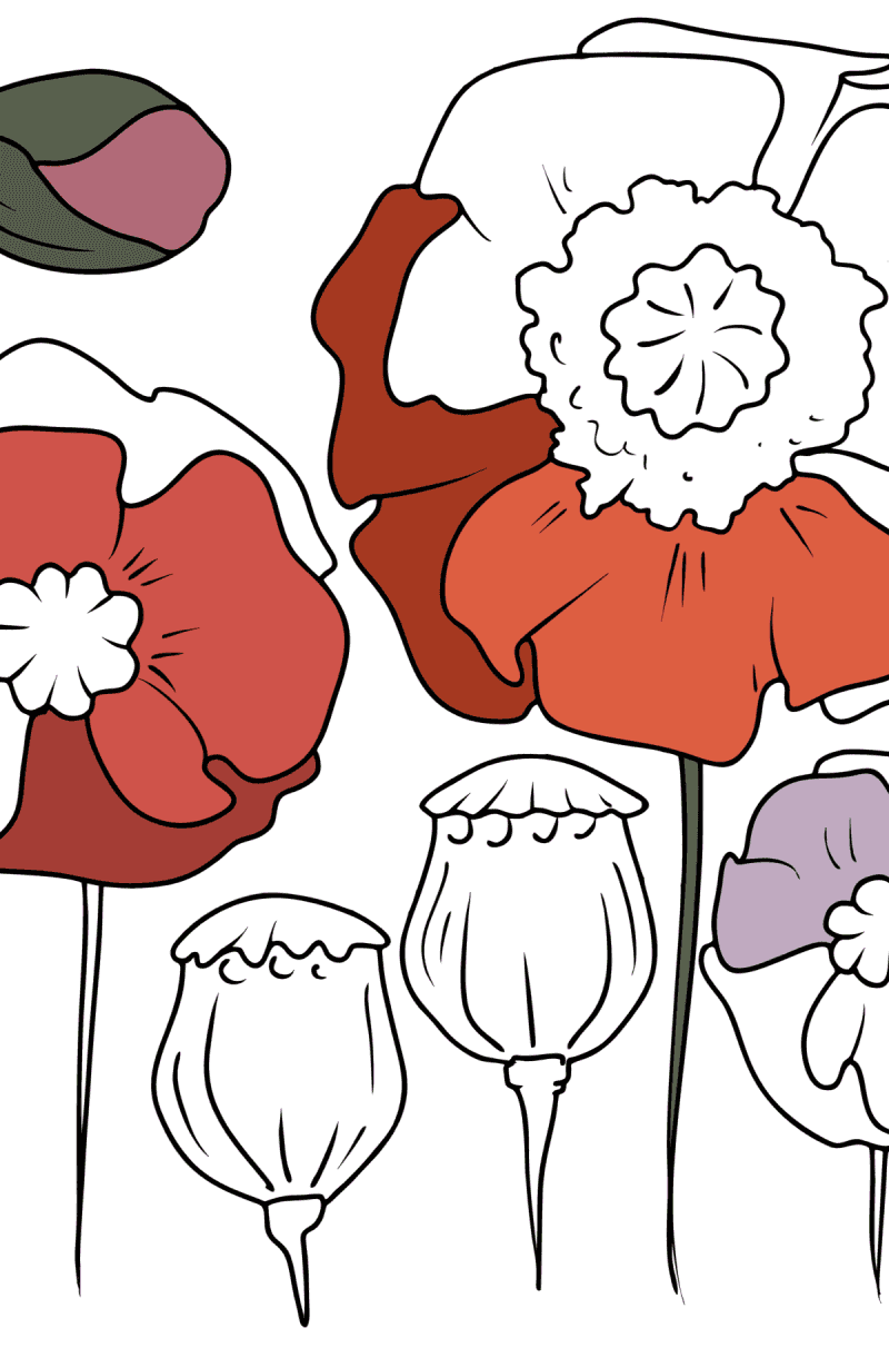 Beautiful Wild Flowers Flowers Coloring Pages For Adults Online beautiful-wild-flowers-flowers-coloring-pages-for-adults-online