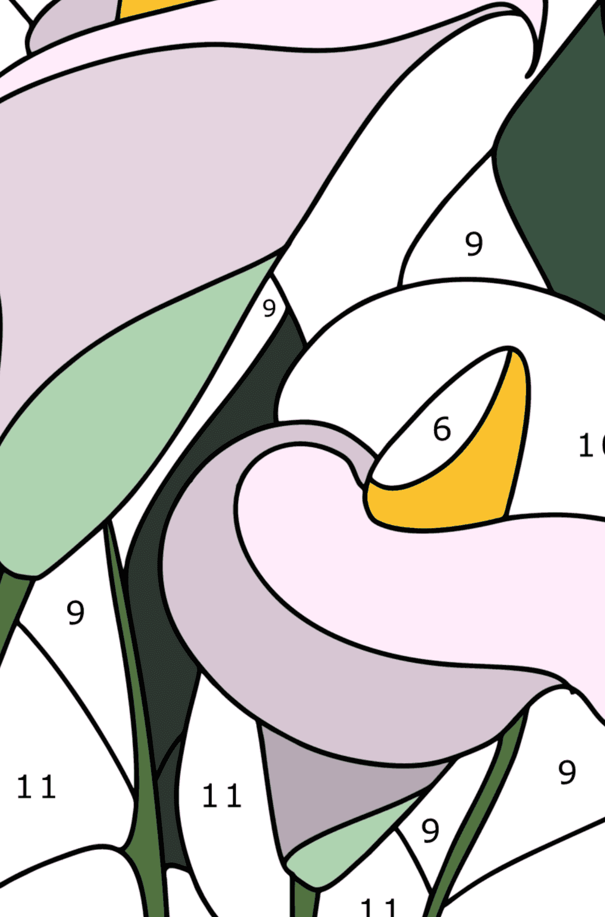 Coloring page Delicate Calla flowers - Coloring by Numbers for Adults