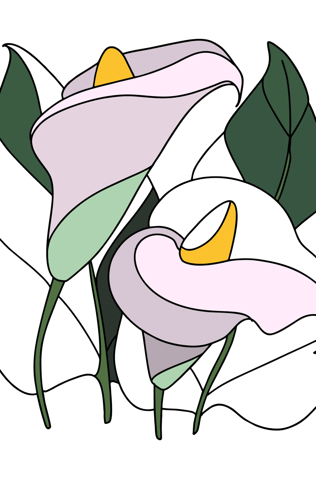 Coloriage Fleurs de calla délicates - Coloriages pour adultes