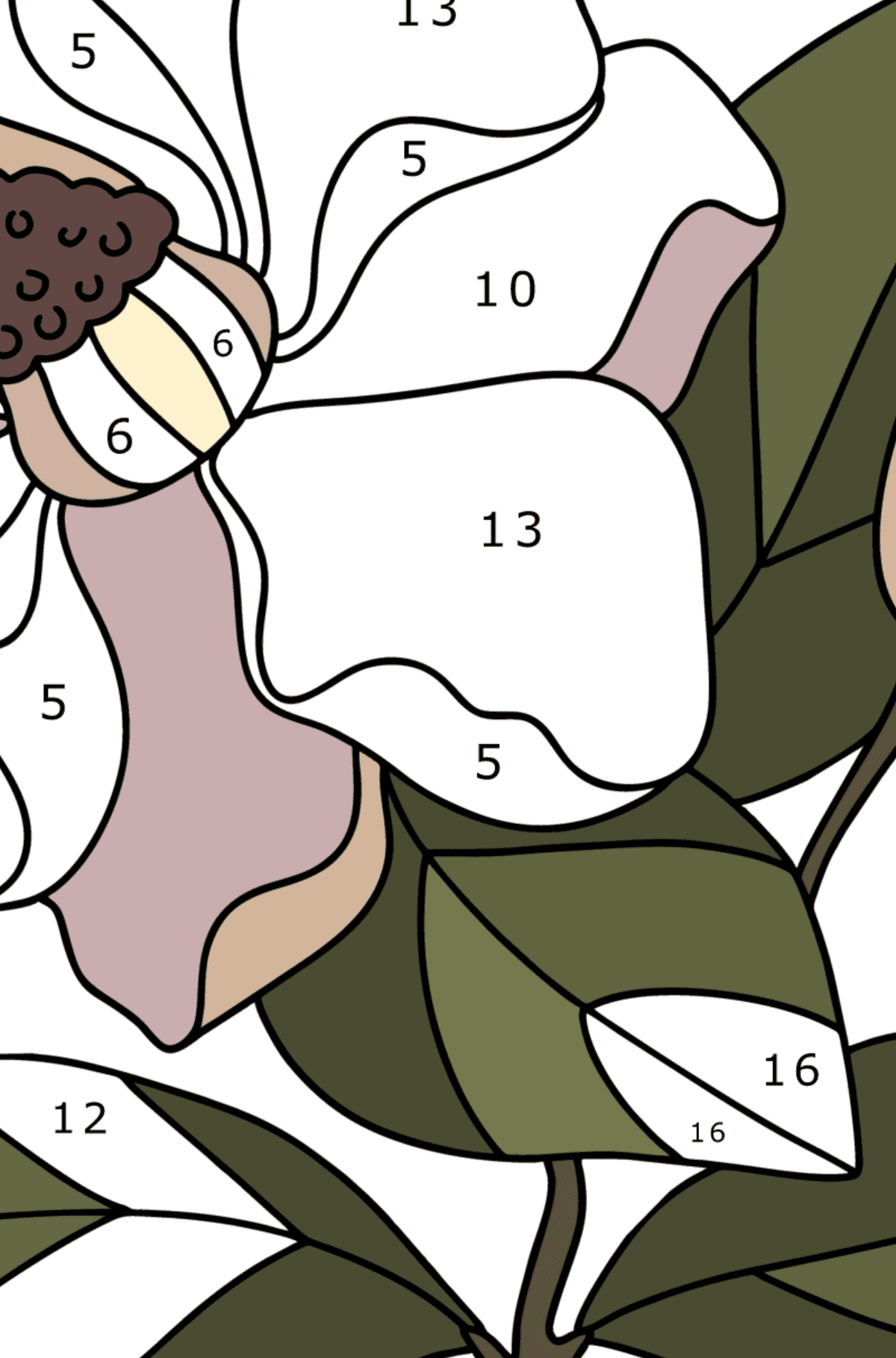 Coloring page Delicate Magnolia - Coloring by Numbers for Adults