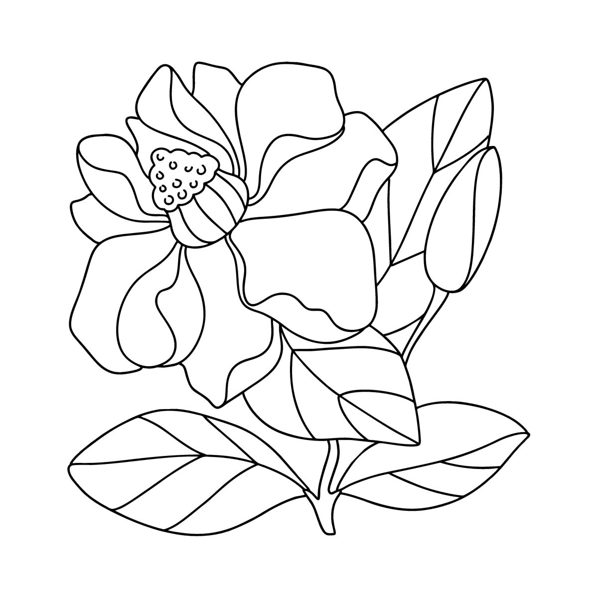 Delicate Magnolia - Flowers Coloring Pages for Adults Online