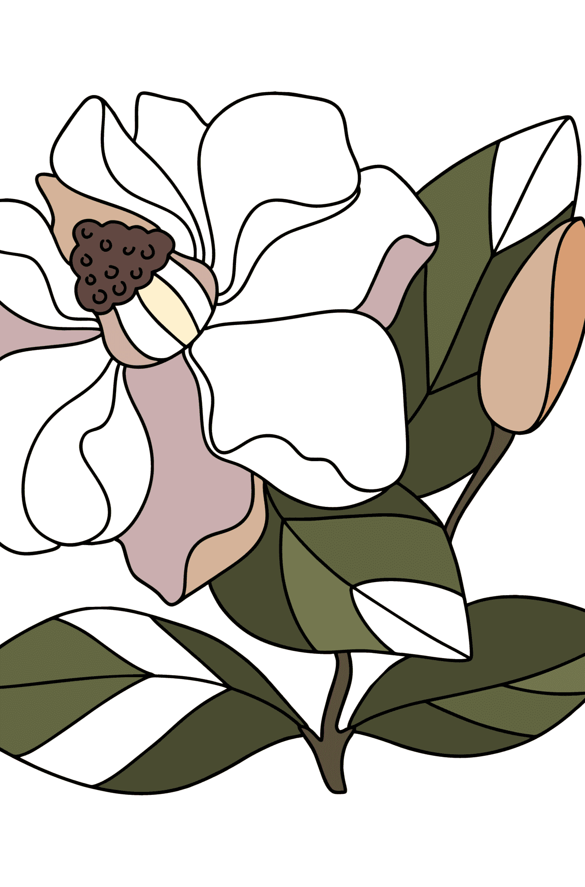 Coloriage Magnolia délicat - Coloriages pour adultes