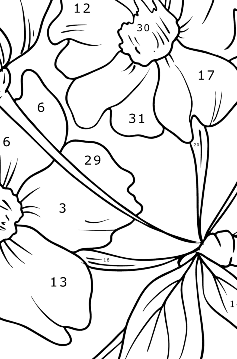 Delicate Sakura - Flowers Coloring Pages for Adults Online