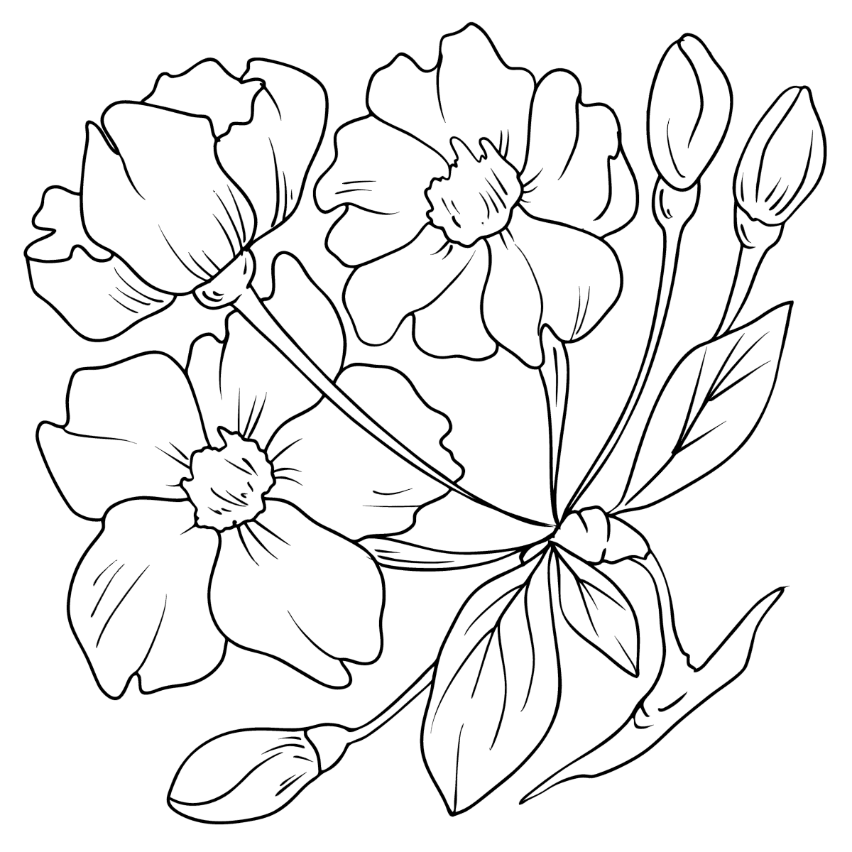 Delicate Sakura - Flowers Coloring Pages For Adults Online