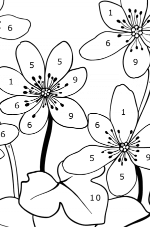 Early spring flowers - Flowers Coloring Pages for Adults Online