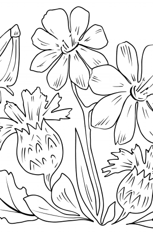 Forest flowers - Flowers Coloring Pages for Adults Online