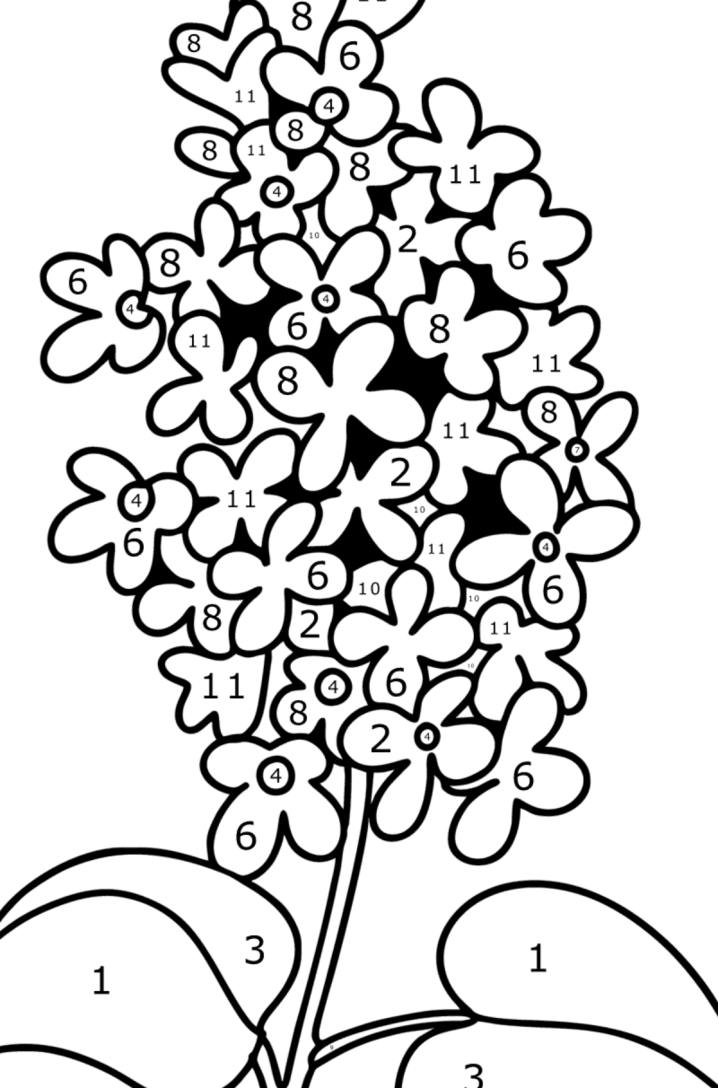 Fragrant lilac - Flowers Coloring Pages for Adults Online