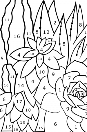 Stone rose and blooming cactus - Flowers Coloring Pages for Adults