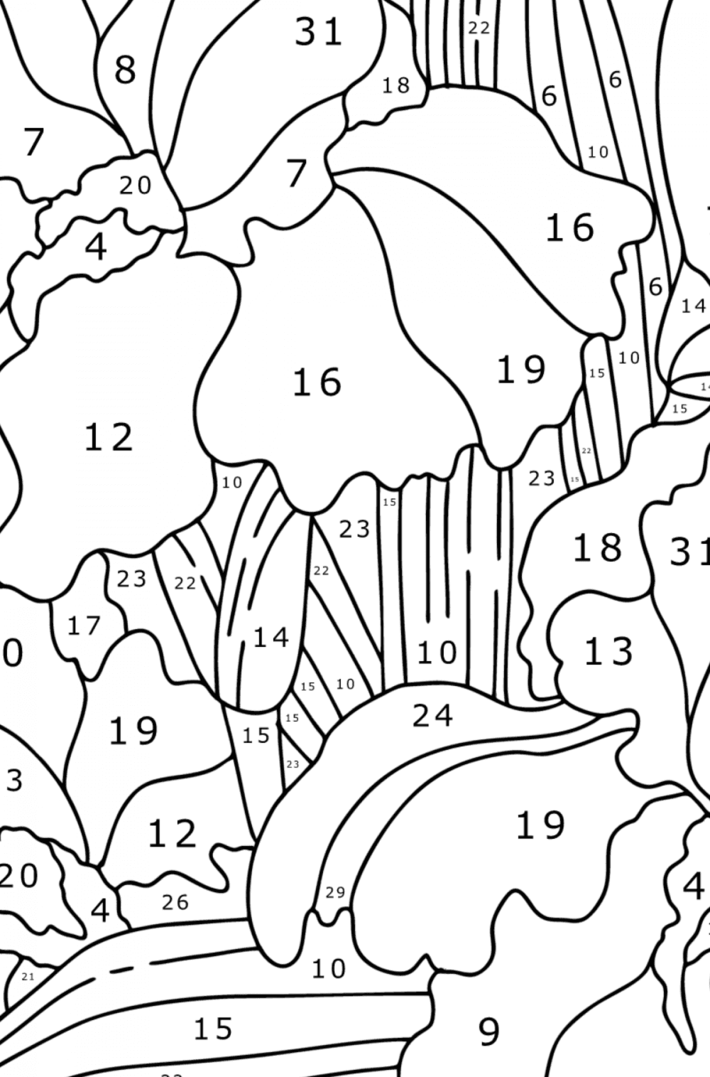 Irises - Flowers Coloring Pages for Adults Online & Print