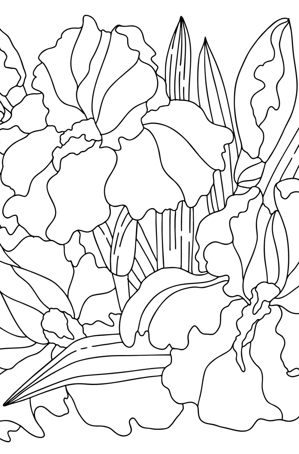 People coloring pages for Adults ♥ Online, and Print for Free!