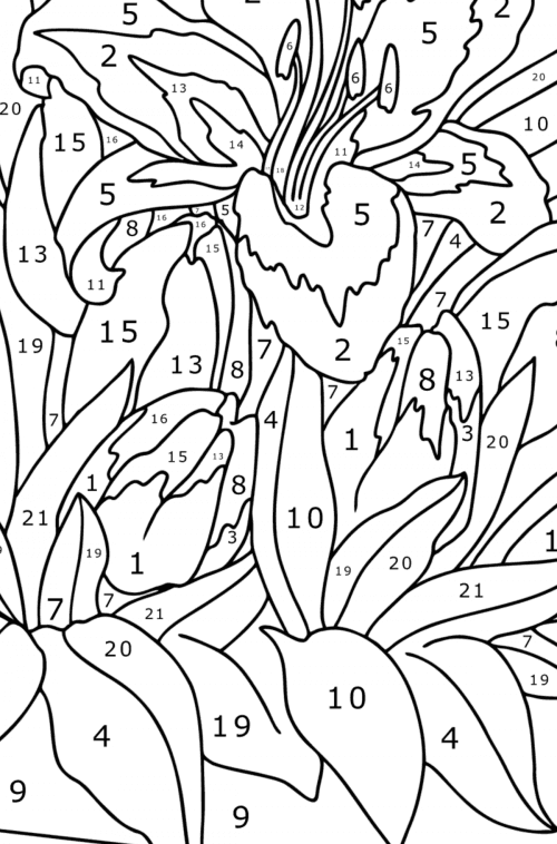 Lilies in a basket - Flowers Coloring Pages for Adults Online