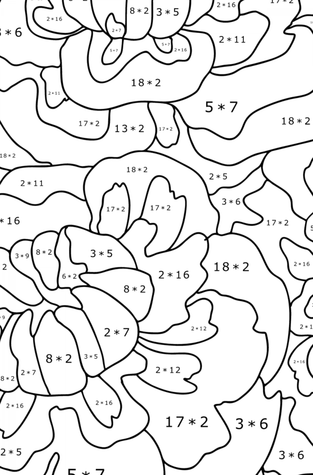 Peonies - Flowers Coloring Pages For Adults Online & Print 2C1