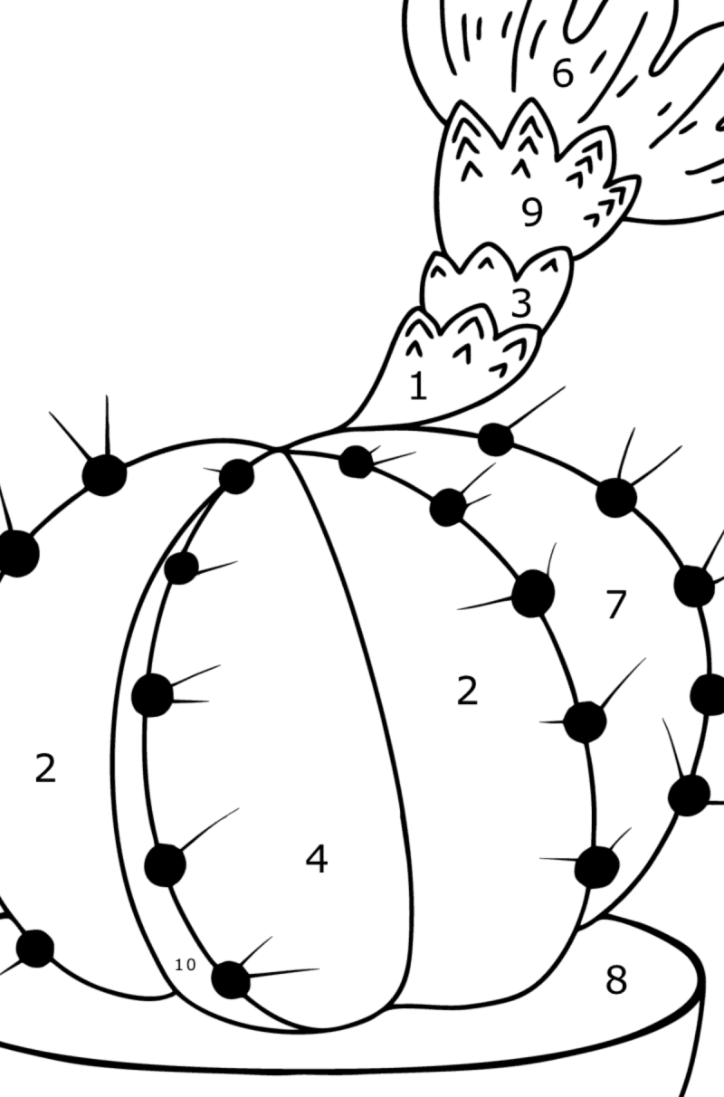 Pink cactus flowers coloring pages for adults online