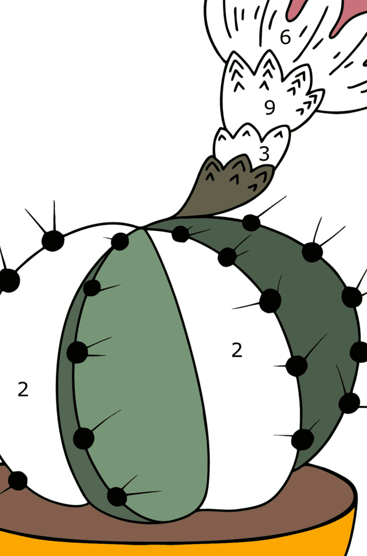 Coloring page Pink cactus - Coloring by Numbers for Adults