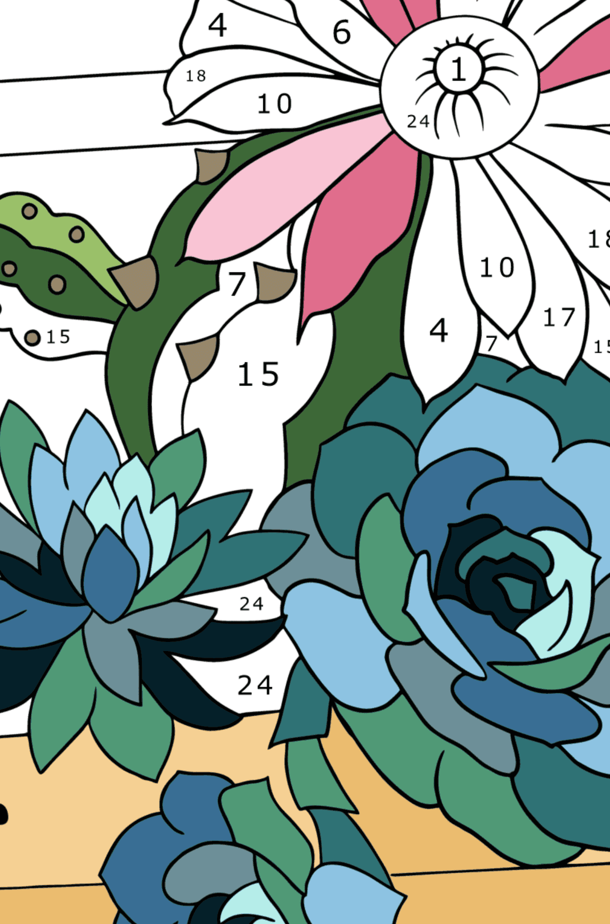 Раскраска Суккулент и кактус - Раскраска по Номерам для Взрослых