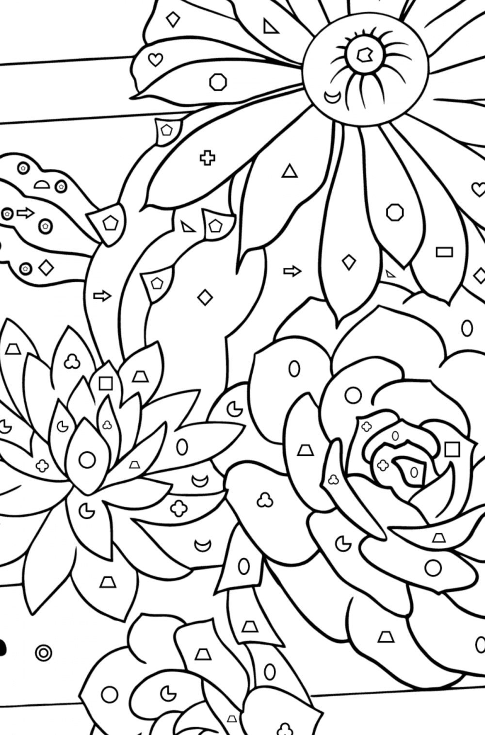 Succulent and cactus - Flowers Coloring Pages for Adults Online