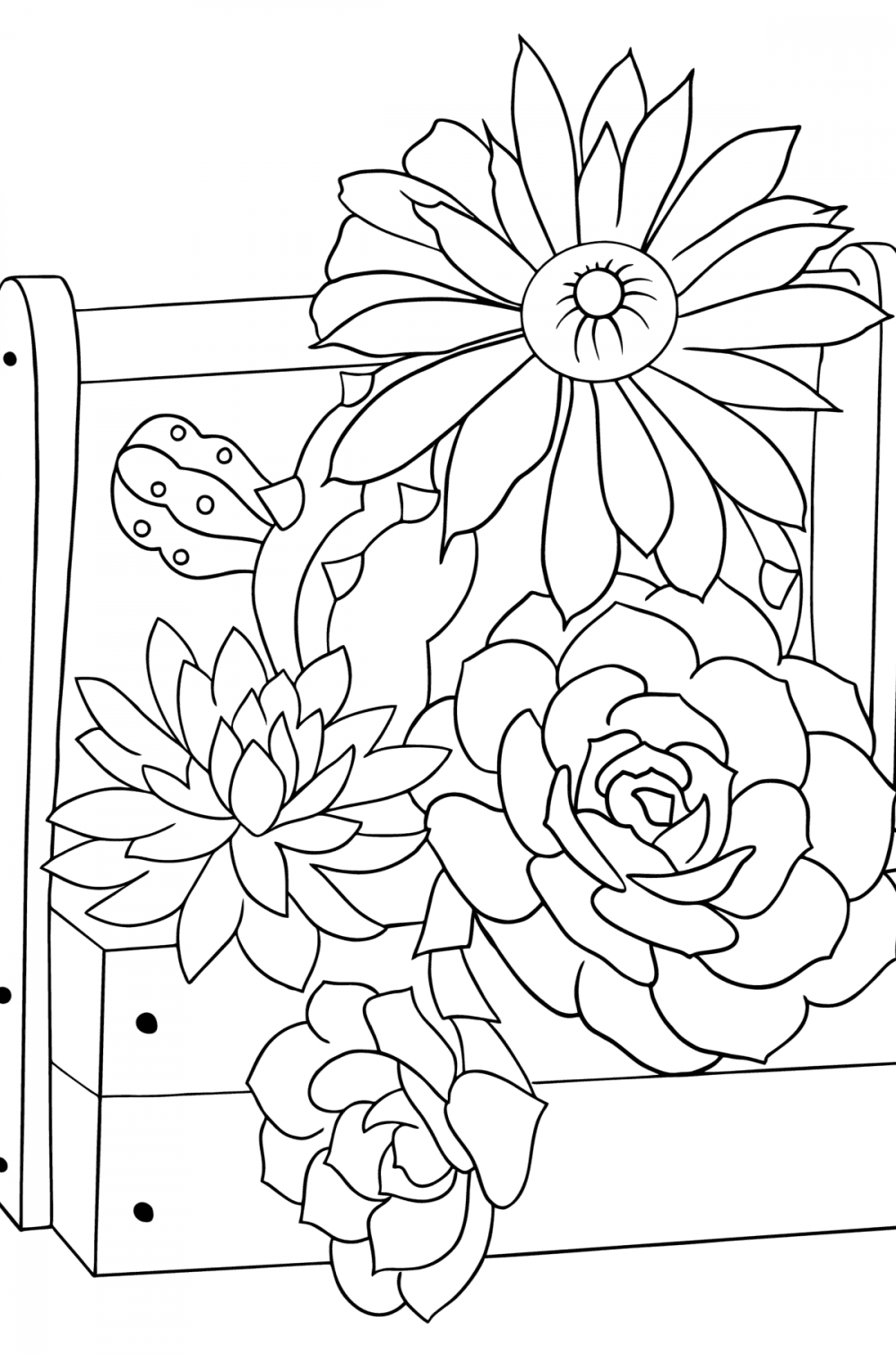 Succulent and cactus - Flowers Coloring Pages for Adults Online