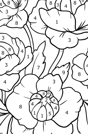 Trollius Flower - Flowers Coloring Pages For Adults Online