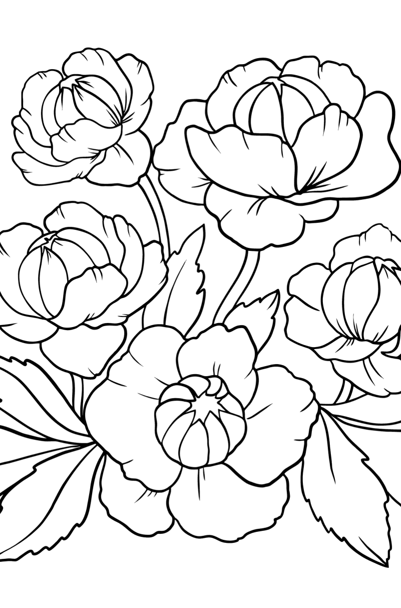 Trollius flower - Flowers Coloring Pages for Adults Online