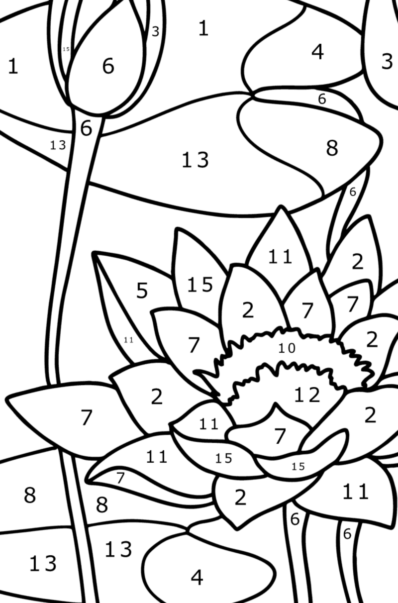 Water lily - Flowers Coloring Pages for Adults Online