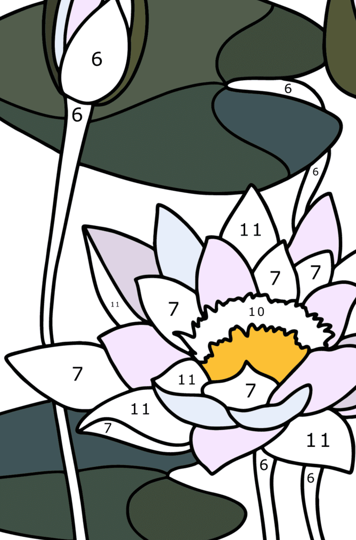 Coloring page Water lily - Coloring by Numbers for Adults