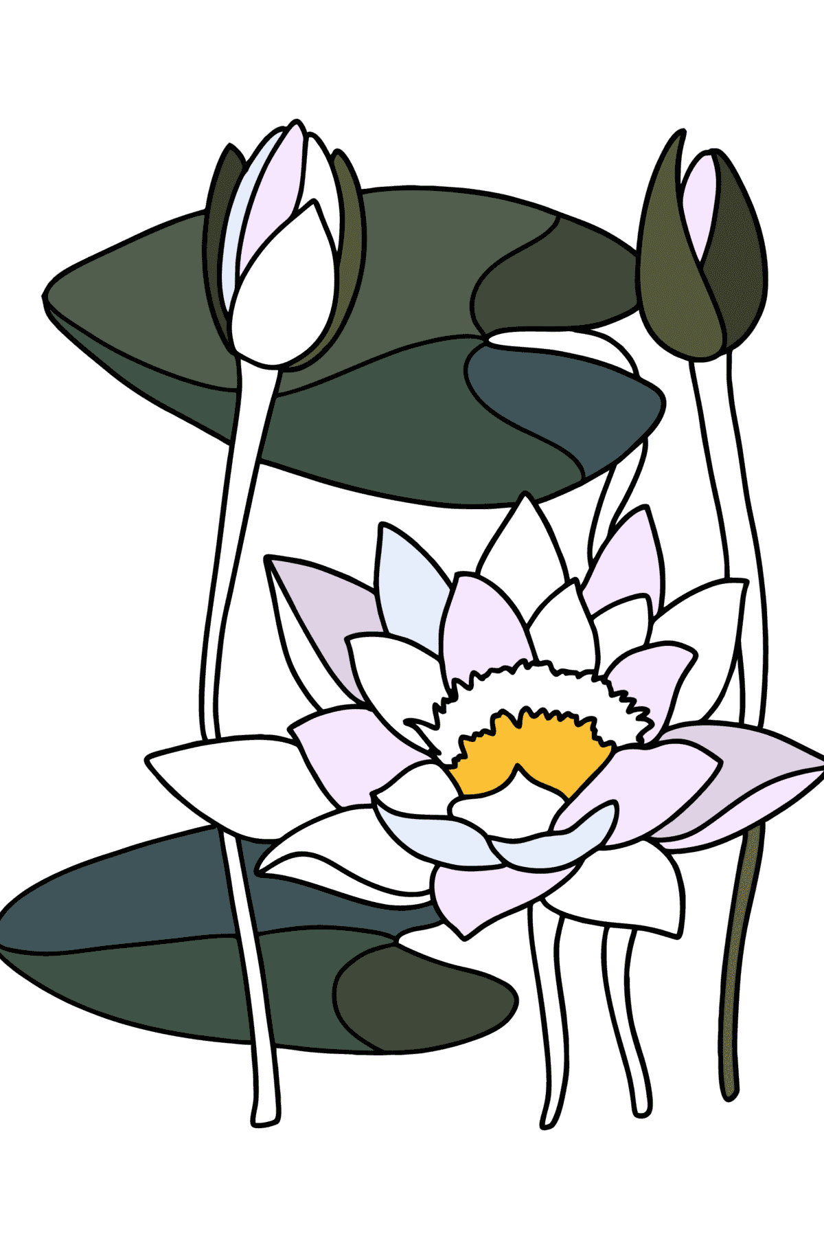 Coloriage Nénuphar - Coloriages pour adultes