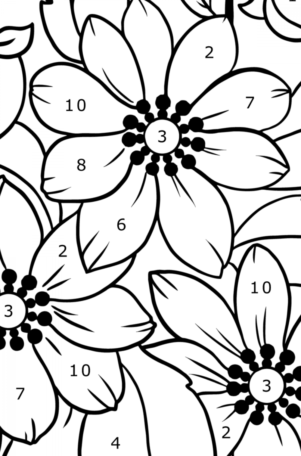 Beautiful wild flowers - Flowers Coloring Pages for Adults Online