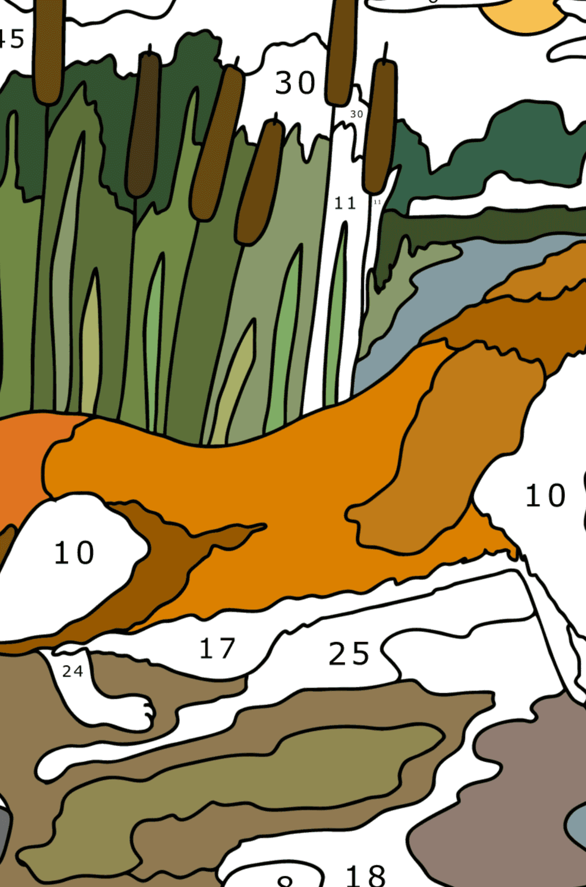 Раскраска Хитрая лисица - Раскраска по Номерам для Взрослых