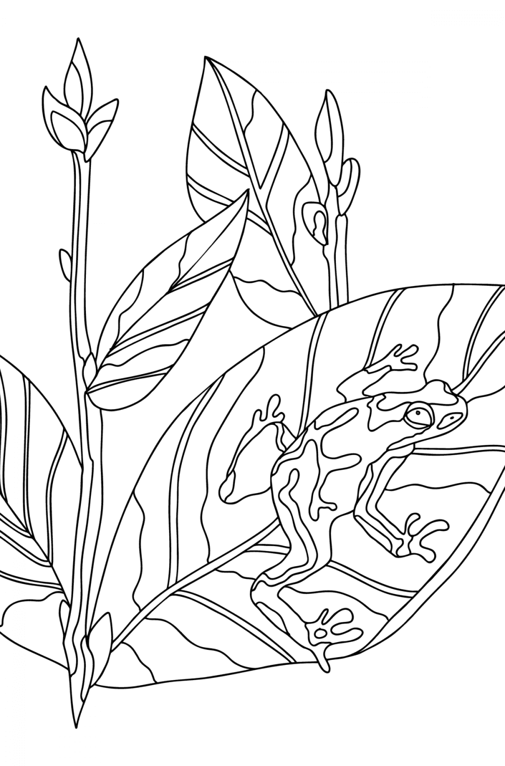 Frogs Coloring Pages - Download, Print, and Color Online!