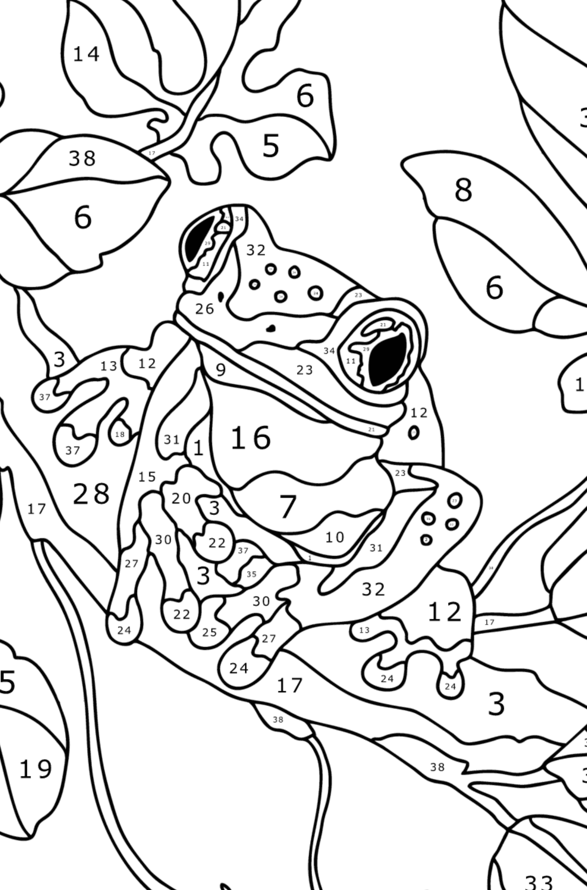 Beautiful frog - Frogs coloring pages for Adults online and printable