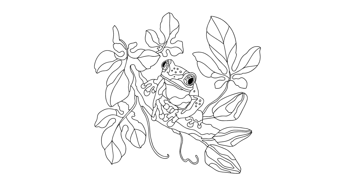 Beautiful frog - Frogs coloring pages for Adults online and printable