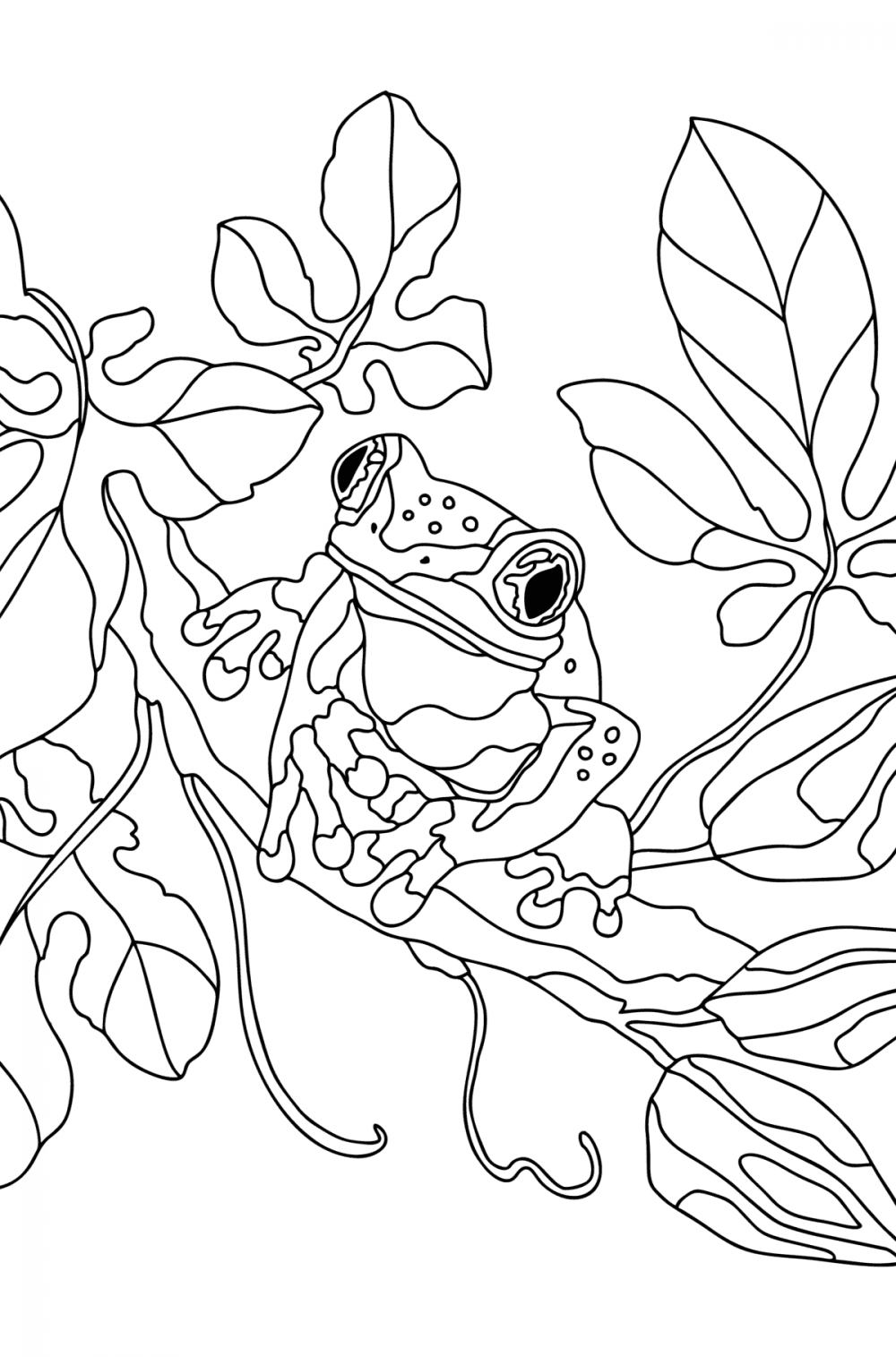 Beautiful frog - Frogs coloring pages for Adults online and printable