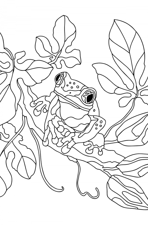 Frogs coloring pages for Adults - Online or Printable