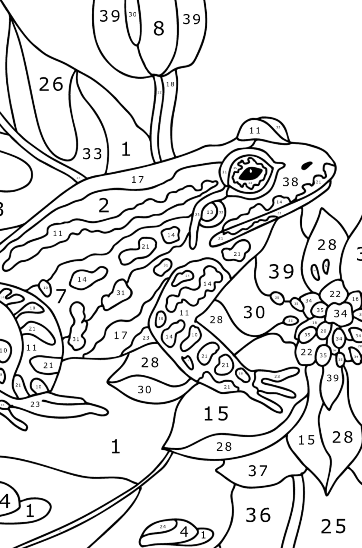 Cute little frog - Frogs coloring pages for Adults online