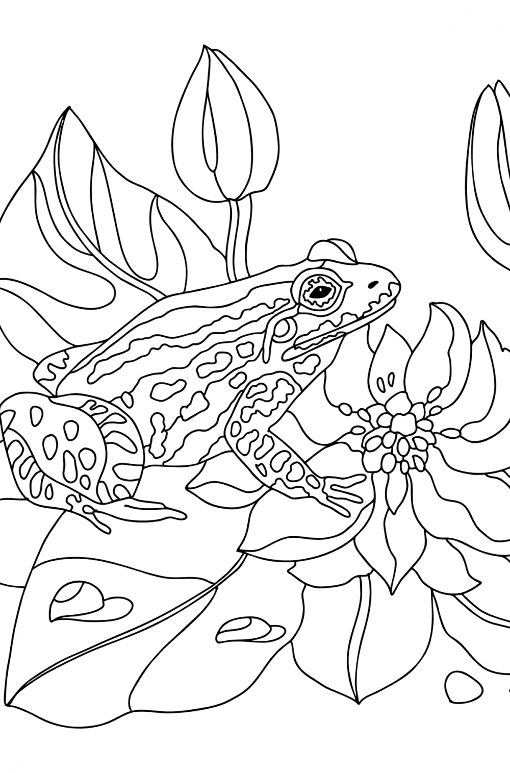 Cute little frog - Frogs coloring pages for Adults online