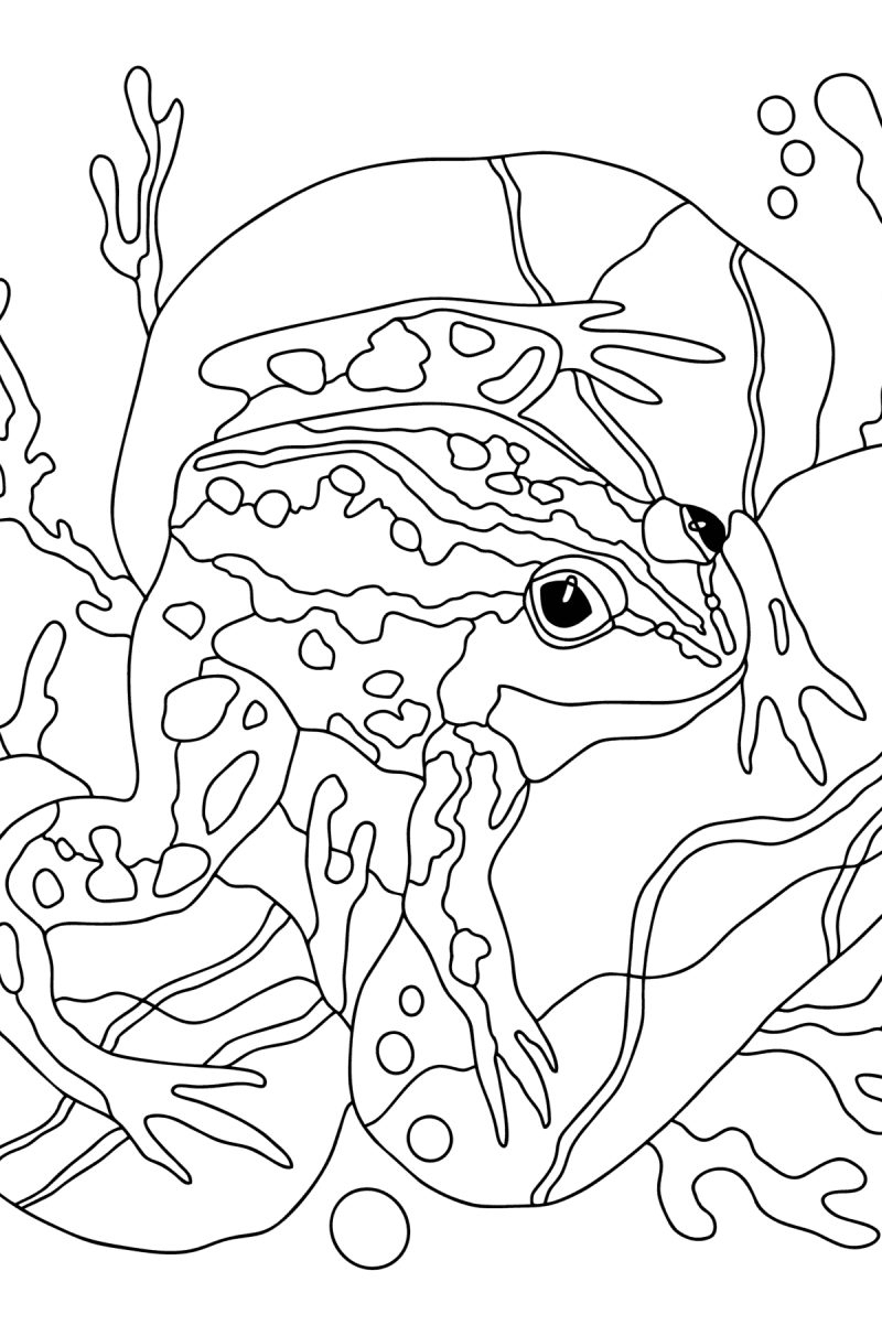 Frogs coloring pages for Adults - Online or Printable