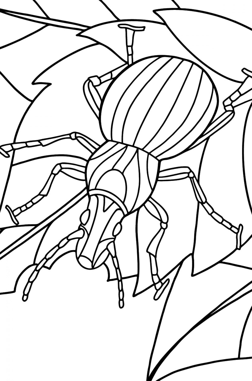 Insects coloring pages for Adults - Online or Printable