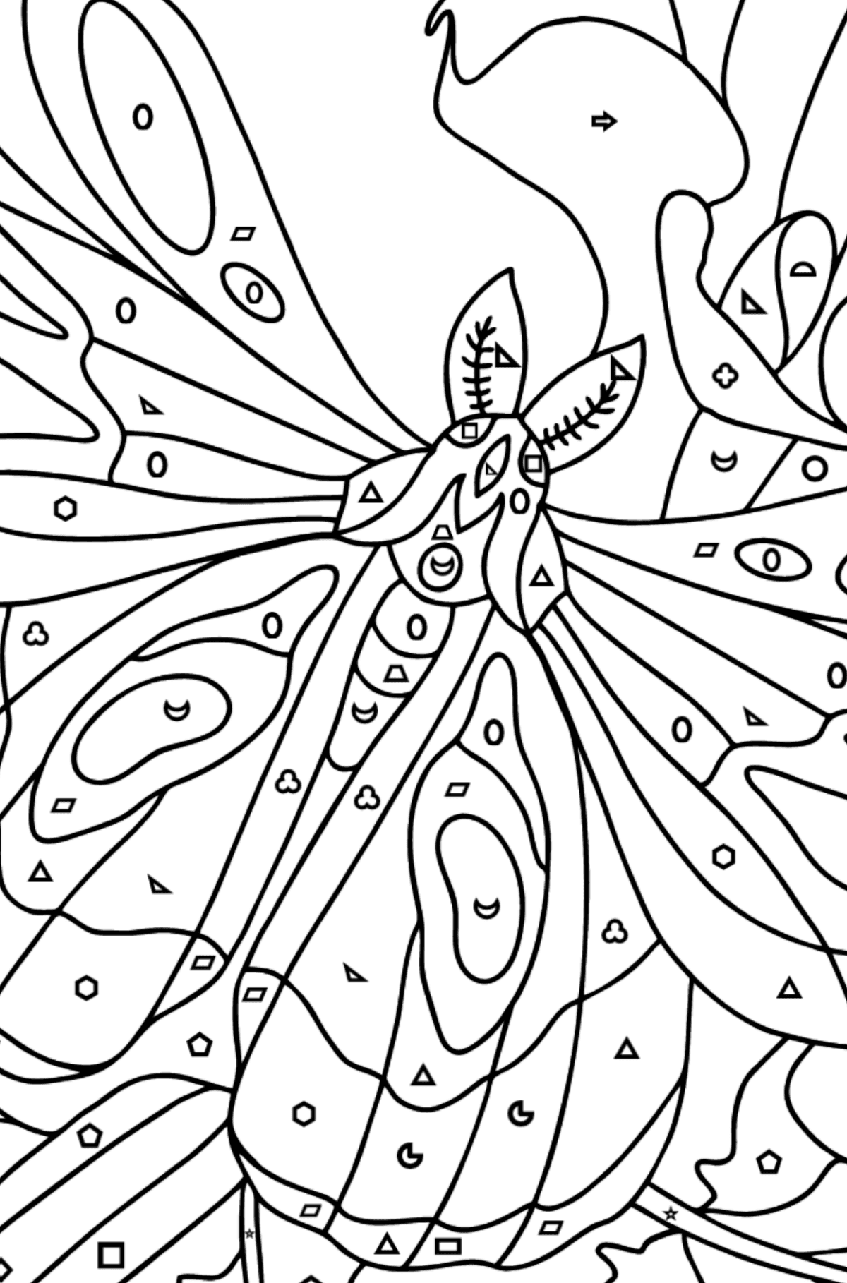 Butterfly on a branch - Insects coloring pages for Adults online