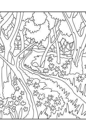 Landscape Sherwood Forest - coloring pages for Adults online