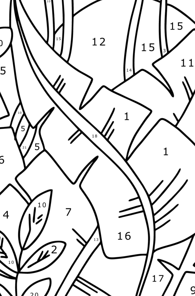 sunrise-in-the-rainforest-landscapes-coloring-pages-for-adults