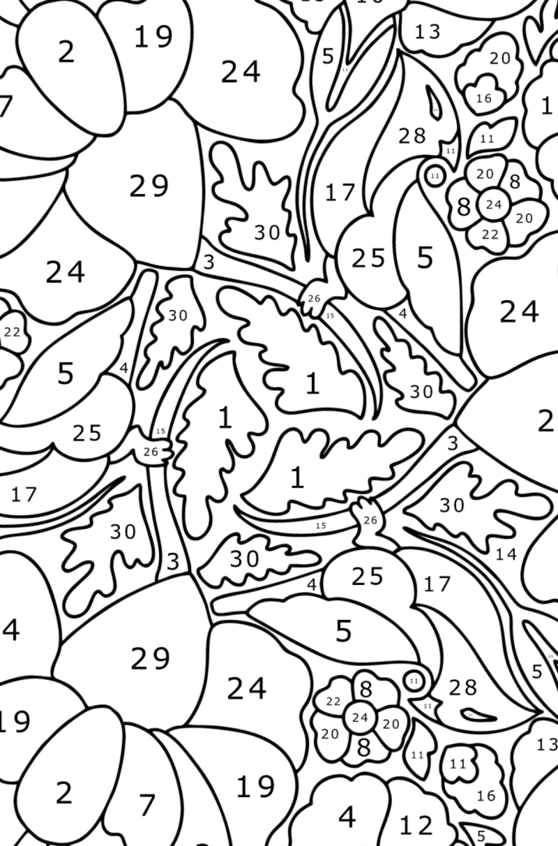 Free Printable Colour By Number For Adults