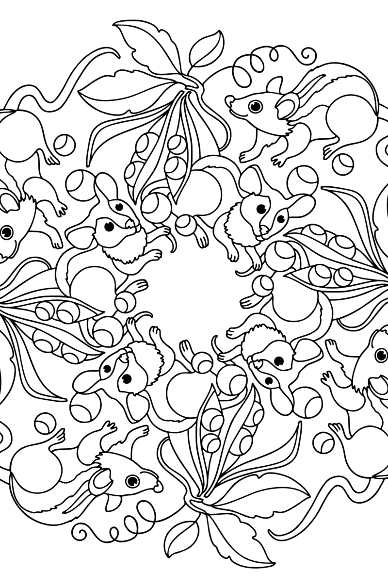 Animal coloring pages for adults to print, and color online!