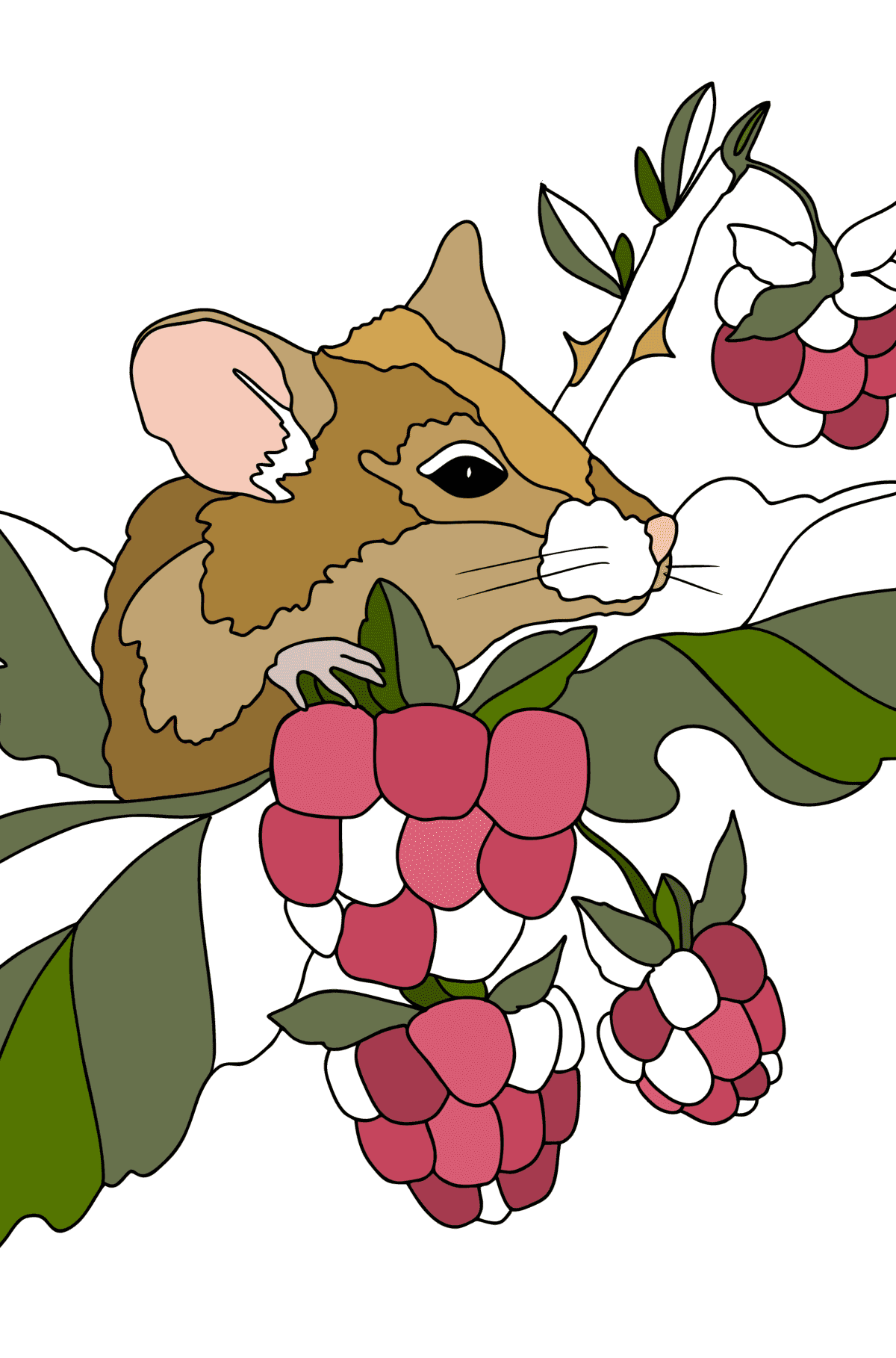 Kleurplaat Charmante kleine muis - kleurboek voor volwassenen
