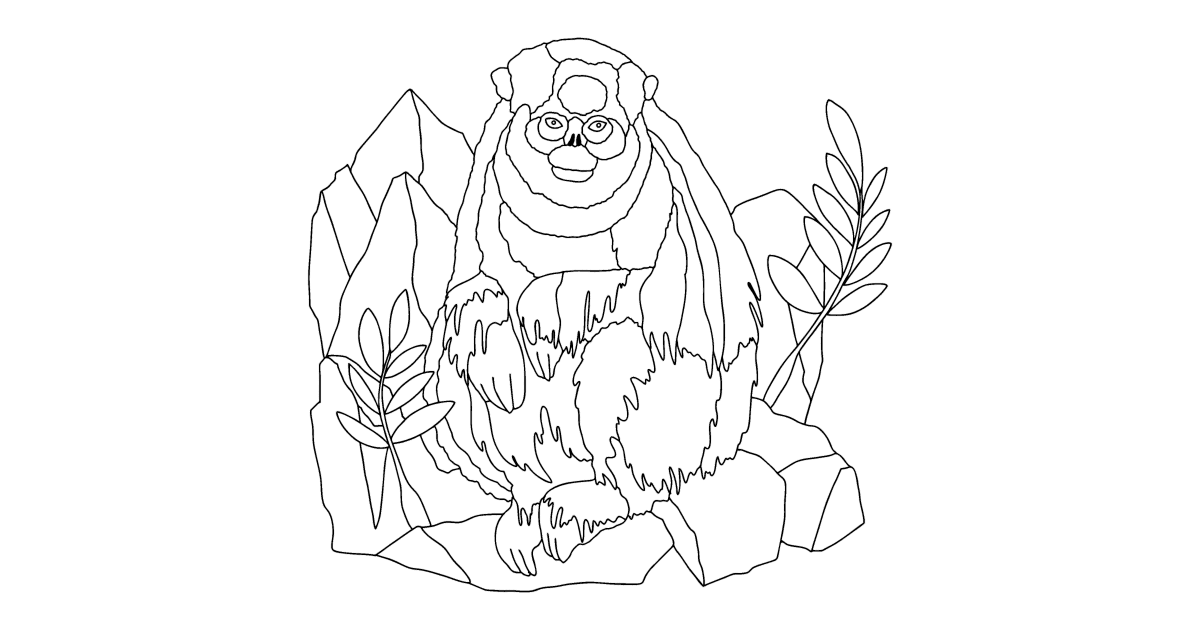 Snub-nosed monkey - Monkey coloring pages for Adults online