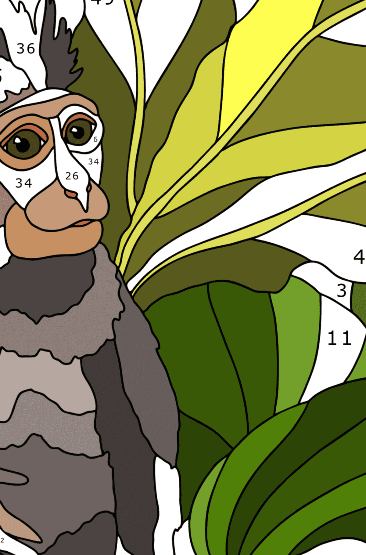 Раскраска Маленькая макака - Раскраска по Номерам для Взрослых