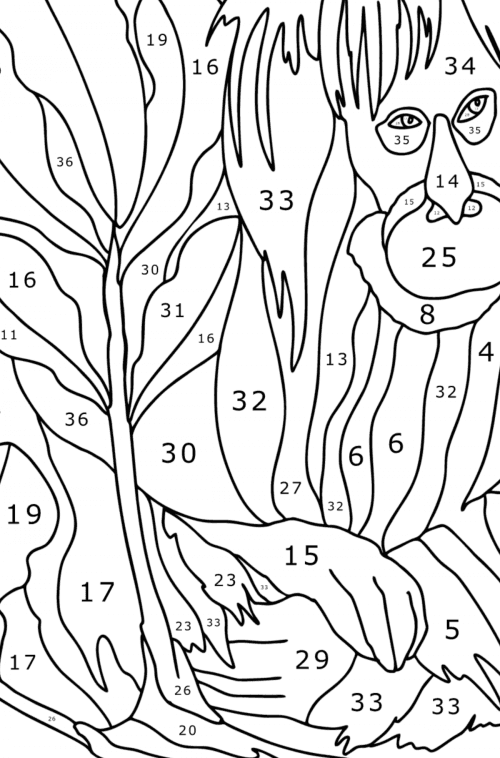 Red orangutan - Monkey coloring pages for Adults online and printable