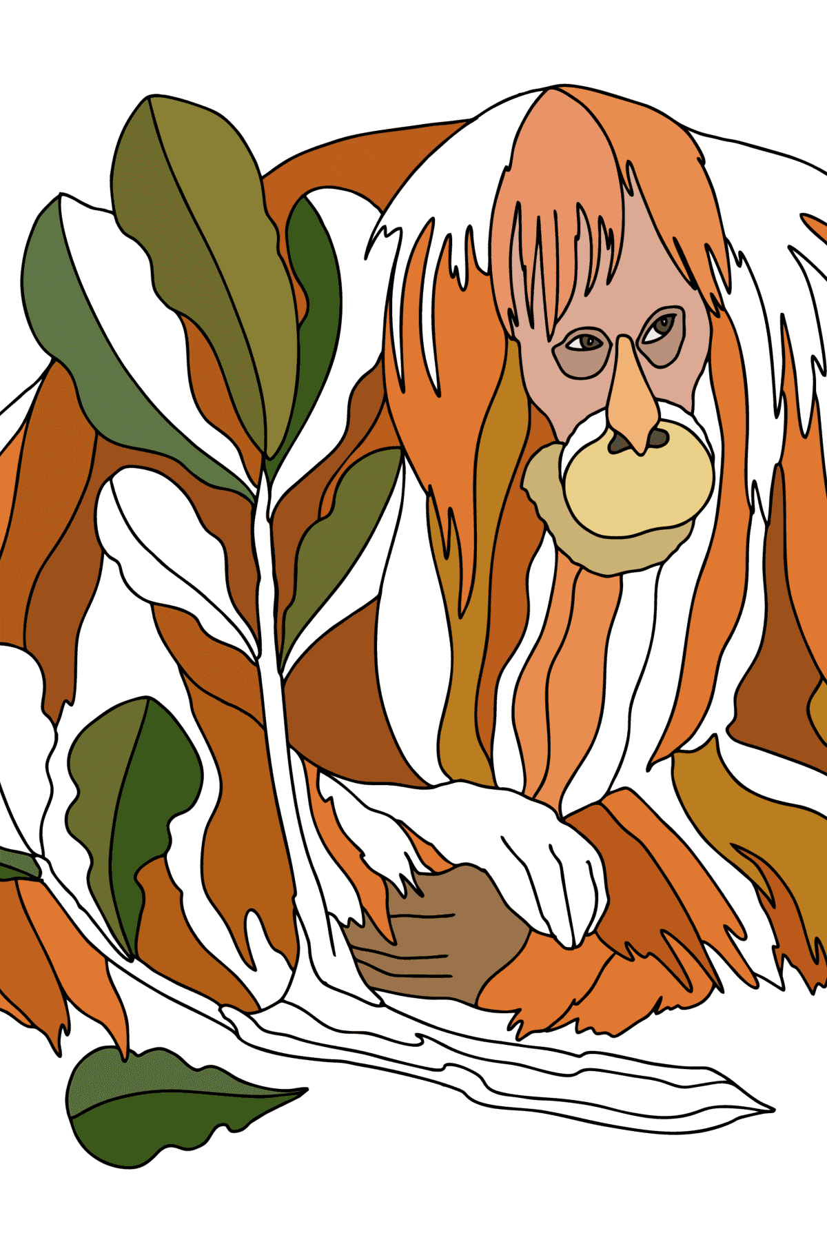 Omalovánka Červený orangutan - omalovánky pro dospělé