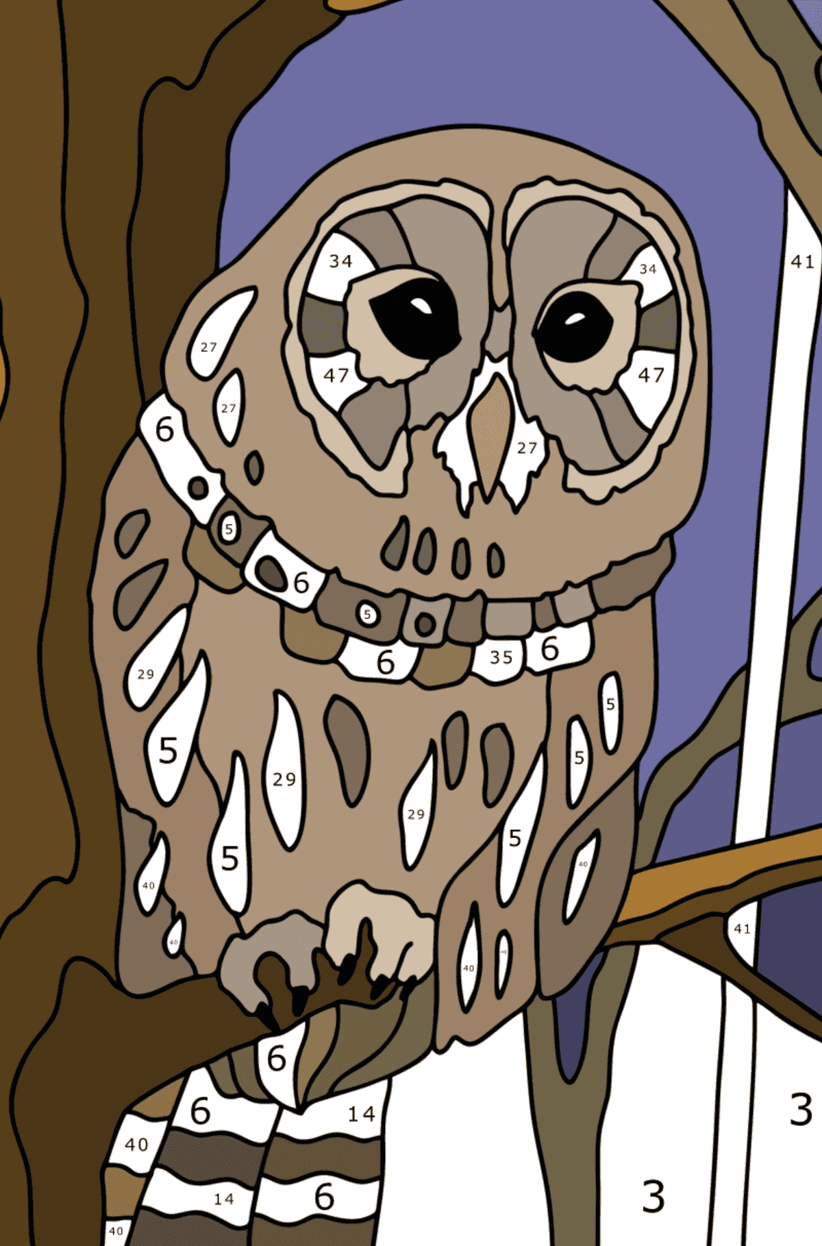 Раскраска Полосатая сова - Раскраска по Номерам для Взрослых