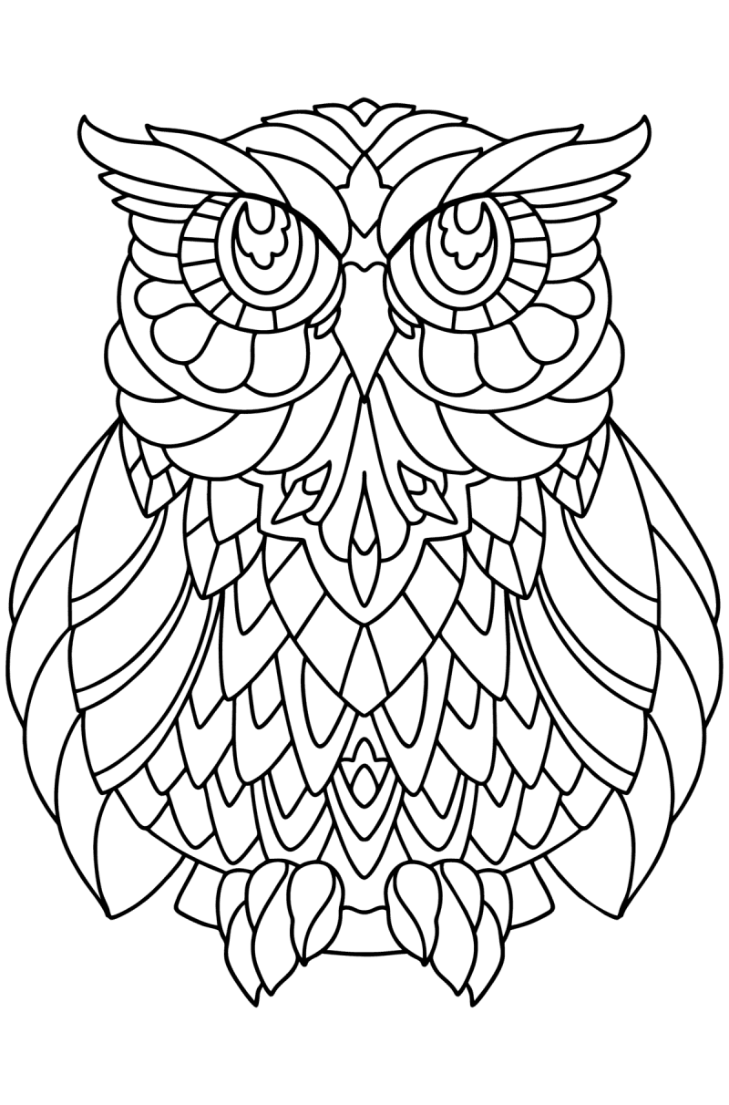 Owl antistress owls coloring pages for adults online and printable